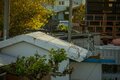 慶良間諸島で沖縄在住写真家が遭遇したネコとシカの珍行動とは？【琉球島猫百景 vol.20「島猫と島鹿が仲良く暮らす島」沖縄県阿嘉島】の画像006