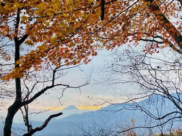 山口一郎 「Mountain」値下げ！ 山口一郎 「Mountain」値下げ！ 山口一郎 「Mountain」値下げ