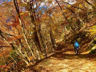 秋は「西沢渓谷」で決まり！ 奥秩父のカラフルな紅葉と翠玉の滝壺が