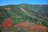 今年は色づきがブラボー！「本州で一番早い紅葉」と名峰・岩手山を眼前に望む絶景のトレイル＜前編・岩手県 三ツ石山＞【今日も山旅気分 vol.9】の画像001