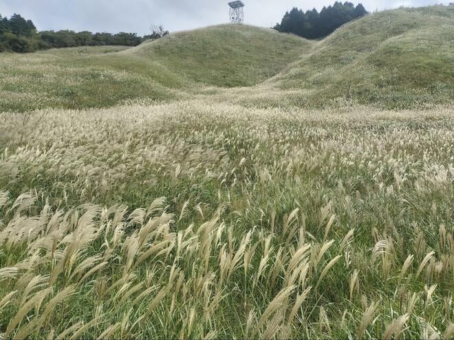 【ガソリン価格は下がる？】“暫定税率廃止分” でどれだけ走れるのか！  愛車スーパーカブに乗って「富士山一周＆スバルライン」で検証した結果！の画像003