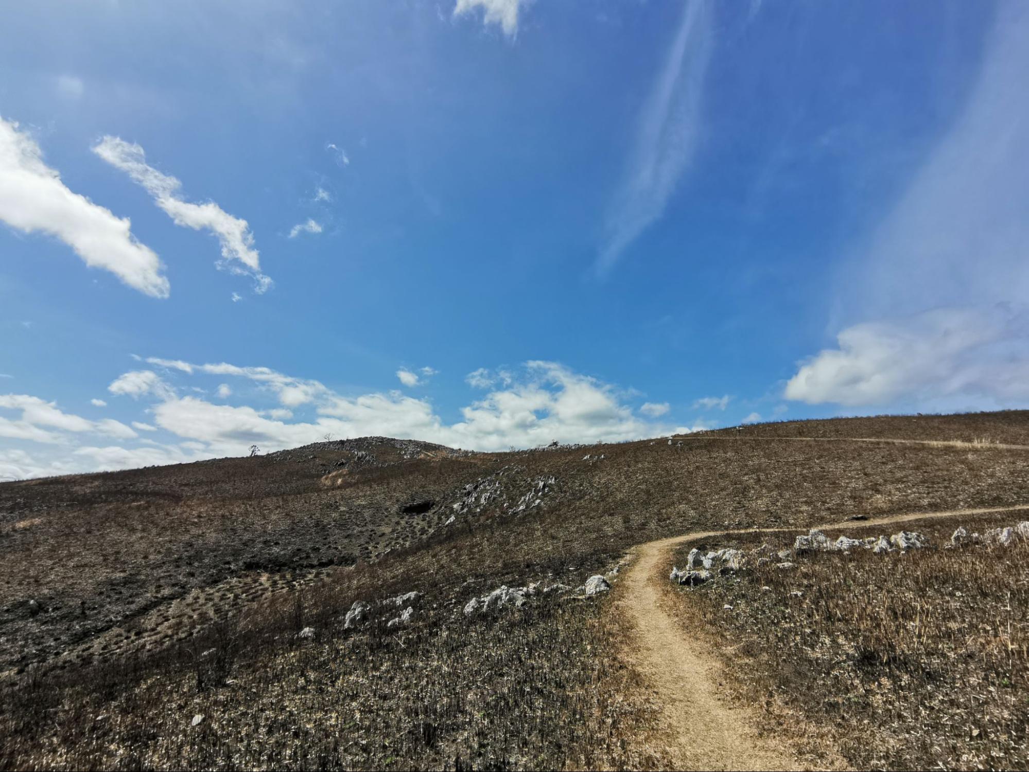 (3ページ目) はてなく広がる岩の絶景！ 日本最大級のカルスト台地「秋吉台・龍護峰」登山で「絶対に守らなくてはならないルール」とは？｜登山 ...