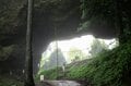 【まるで異世界への入口】映画『蛍火の杜へ』や『るろうに剣心』の舞台となった聖地「上色見熊野座神社」に行くなら“雨の日が断然おすすめ”の画像002