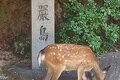 世界遺産の島「安芸の宮島」で絶景30分ハイキング！ 原始の森「弥山」山頂から「厳島神社」＆瀬戸内海の大展望！【広島県廿日市市】の画像004