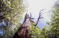 山笑う春！ きれいに撮りたい「花々の写真」 映える？ 残念…？ カメラ歴20年ライターが教える4つの「撮影テクニック」スマホでもできる「コツとワザ」の画像007