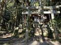山頂エリアの一大パノラマは必見！  南信州・阿智セブンサミット「富士見台高原」 百名山＆中央・南アルプスの大展望！  秋の晴天「登山レポ」の画像002
