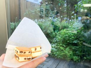 夏にピッタリ「食の宝庫」北海道で味わう「地域限定」「激レア」「リピート必至」の味！  札幌在住ライターの「推しアイス」5選