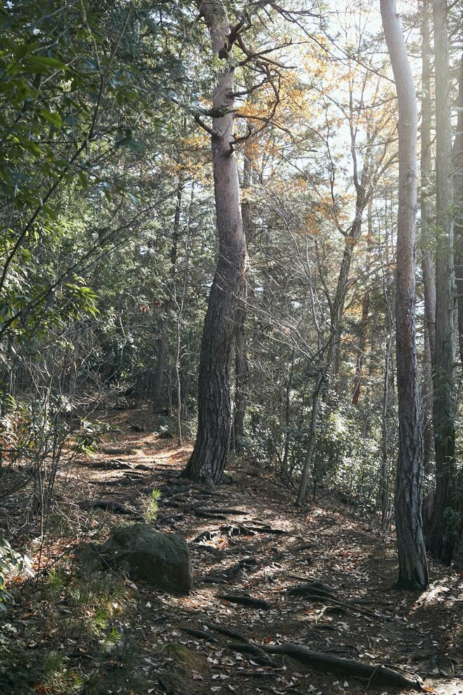 ”整える” 山旅！  甲府盆地の「超低山」と「温泉銭湯」を巡るショートトリップ【南アルプスの日々 vol.10】の画像004