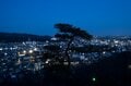【広瀬すず主演『ちはやふる』でもお馴染み】人気デートスポット＆自然夜景遺産「足利織姫神社の夜景」がすごい！の画像010