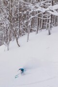 【斑尾高原・長野県】多彩なツリーランコースで通称「マダパウ」に魅了されるの画像004
