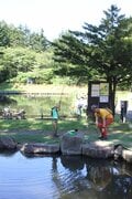 札幌市中心部から20分の好立地「ban.K Camp Field」 自然に囲まれた森の中でファミリーキャンプとアウトドア・アクティビティを満喫！【北海道・さっぽろばんけいスキー場】の画像011
