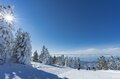 抜群の晴天率！  雲海に浮かぶ菅平高原・根子岳の「神秘の樹氷」スノーモンスターが順調に成長中【 2022年冬・長野】の画像002