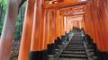 京都＆奈良「神社仏閣」お参りとあわせて “ゆっくりできる” 低山3選！  駅スタート・往復3時間・絶景「世界遺産」そばも！「現地レポ」の画像002