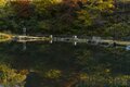 もみじ狩りと渓流釣りが同時に楽しめると評判！  山梨県の管釣り「奈良子釣りセンター」に行ってみた！の画像006