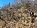 富士山と西湖・河口湖の「絶景」大パノラマ！  意外な穴場「毛無山」とスリル満点「十二ヶ岳」登山レポートの画像003