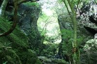 バラエティ豊かな登山コース「棒ノ折山」夏こそ行きたい “涼感” の魅力！ 「木漏れ日の樹林帯・Vの字谷・沢沿い歩き」＆絶景の「山頂広場」レポ