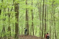 山中の植物に「春から初夏への移り変わり」を感じるお手軽ハイキングルート＜奥多摩・御前山＞
