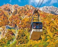 【立山黒部アルペンルート】富山県と長野県を結ぶ日本を代表する“山岳ルート”  訪れた者を魅了してやまない秋色に彩られた絶景劇場「立山室堂」