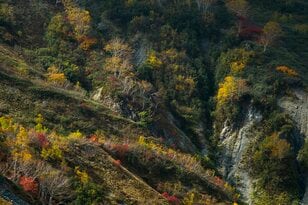 【キャンプ＆トレッキング】紅葉の当たり年！  晴れ間を狙って山歩き＆しっとりと過ごす森のひととき「スノーピーク ランドステーション白馬」 2025年