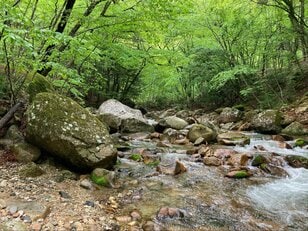 【こんな渓流釣りはNG！】上流域で「木にキャスト」＆ 撮影中に逃げられる… テンカラ歴5年ライター「赤面デビュー話」と夢の「尺イワナ」釣果レポ
