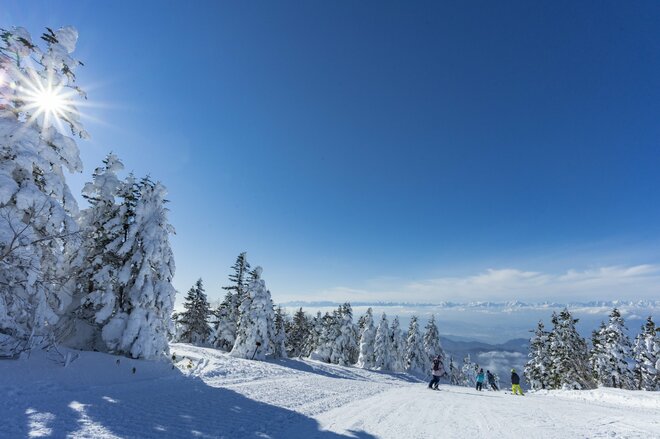 抜群の晴天率！  雲海に浮かぶ菅平高原・根子岳の「神秘の樹氷」スノーモンスターが順調に成長中【 2022年冬・長野】の画像002
