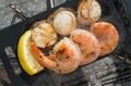 “調理テストで検証” アウトドア雑誌付録の「ミニグリル鉄板」で ”厚切り肉” を美味しく焼くコツ＜後編＞の画像006