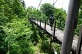 「奥只見湖」から行く尾瀬！  船とバスで繋ぐ絶景ルートを経て「裏燧林道・三条ノ滝・尾瀬沼」をめぐる1泊2日の贅沢ハイク【新潟県魚沼市】の画像009