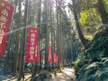 ”大阪・四條畷駅”から走ってわずか10分！  ココロもカラダもアタマも潤う”2時間半の癒し”「森林浴トレイル」【里山アドベンチャー！ソトアソ日和 vol.2】の画像006