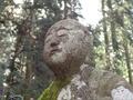 春が見ごろ「ミツマタ」山腹に広がる群生地「黄色い世界」の絶景！  苔むす神秘の神社も幻想的「愛宕山」ハイキング【兵庫県丹波篠山市】の画像003