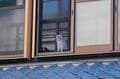 アート、ときどき島猫。直島・犬島・小豆島【「瀬戸内トリエンニャーレな旅（後編）」琉球島猫百景 vol.22〈特別編〉】の画像007