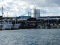 リニューアルされたレトロモダンな駅舎から海へ向かうと意外なものを発見！【南海高師浜線（その2）関西鉄道路線周辺曼荼羅 vol.39】の画像007