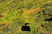 「日本一早い紅葉」が見られる北海道最高峰「大雪山系旭岳」9月の様子と「絶景ポイント」現地レポート
