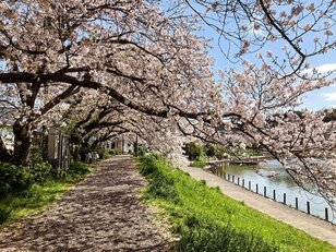 目や鼻だけじゃない「花粉症」アレルギー対策！ 敏感肌キャンプ女子がいつも以上に行う「スキンケア」とは？ 携帯に便利なアイテムも紹介！