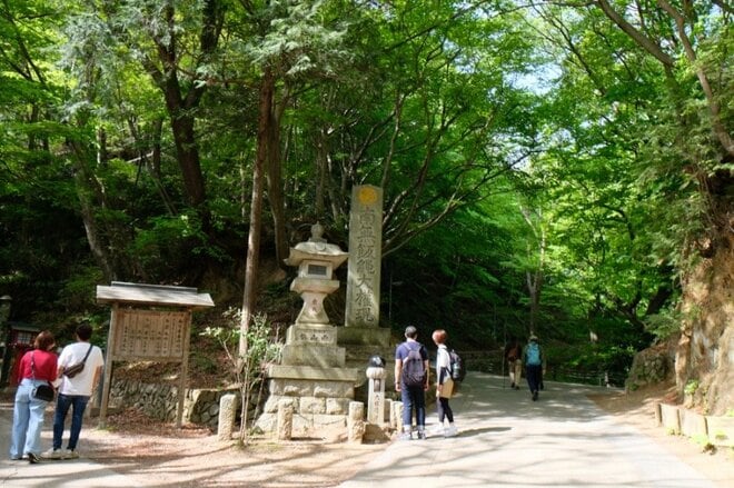 【新緑の高尾山は下山後もおもしろい】初心者向け「高尾山ハイキング」ガイドの画像007