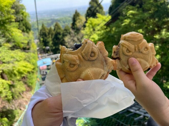 【新緑の高尾山は下山後もおもしろい】初心者向け「高尾山ハイキング」ガイドの画像018