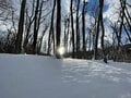 厳冬期にしか見られない「驚異の景色」！  迫力満点「氷瀑の絶景」を目の当たりにする岩手県・七滝スノーシュートレッキングとは？の画像004