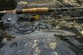 【渓流釣り】2023年シーズン終了直前！ 「野生味溢れるイワナを求めて」銀山湖（奥只見湖）でフライフィッシング・新潟県の画像005