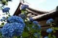 NHK大河『鎌倉殿の13人』のルーツ！  兵庫県川西市・清和源氏発祥の地「多田神社」とあじさい寺「頼光寺」の魅力とは？の画像003