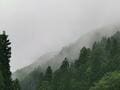 雨の日だけの絶景！ 霧けぶる幻想「鞍馬寺」独り占め登山＆人気パワースポット「京都・貴船神社」散策レポの画像003