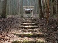 秘境感漂う静かな低山「鹿倉山」 神々しい社＆苔むす岩々と展望のハイキング【京都府福知山市・兵庫県丹波篠山市】