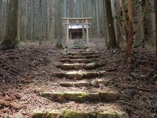 秘境感漂う静かな低山「鹿倉山」 神々しい社＆苔むす岩々と展望のハイキング【京都府福知山市・兵庫県丹波篠山市】