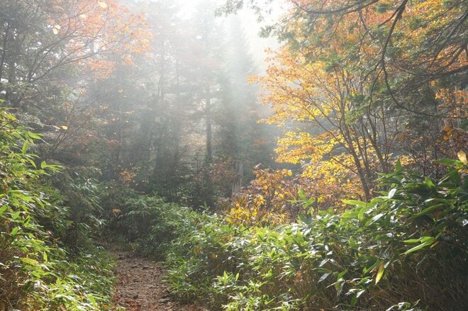 温泉＆紅葉散策【界 奥飛騨】で感じる北アルプスの秋 「飛騨高山」の伝統にもふれ、その魅力はさらに深まっていくの画像033