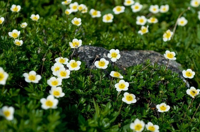 【山小屋での宿泊も課税対象】長野県「宿泊税」6月から運用開始！  登山者にも影響の画像003