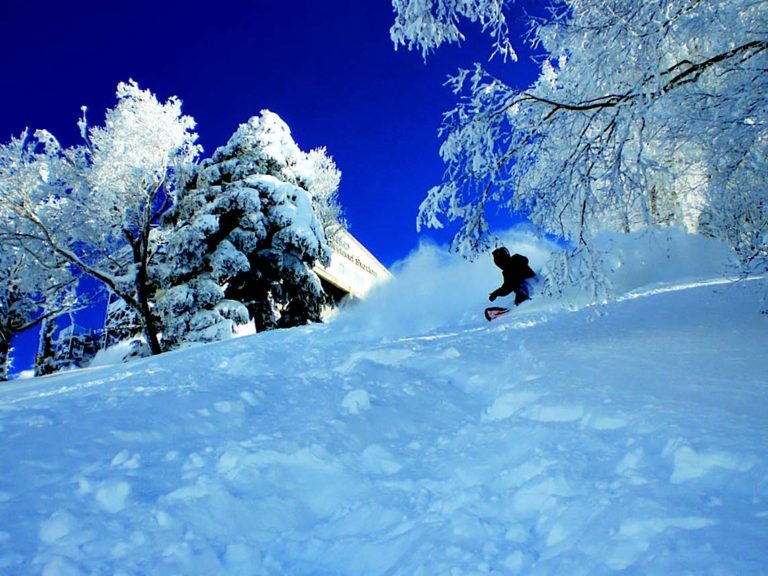 竜王スキーパーク 山頂で1930mの標高が魅力距離1000m超ロングランも楽しめる 長野 概要 スキー スノーボード ニュース Bravo Mountain