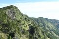 楽しいのは景色だけじゃない！  雪解けと共に始まる、高山植物の「開花ラッシュ」 登山に行くなら見なきゃ損する「高山植物」5選の画像003