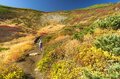 真っ盛りの紅葉を抜け、荒涼とした山頂部へ！  シマリス駆ける北海道、大雪山「赤岳」の美しすぎる絶景・紅葉狩り登山  2024年の画像008