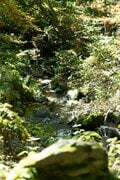 標高1,100mの農場で鶏を“平飼い”放牧！ 本当においしい卵は心身ともに健康で元気な鶏から産まれる！「やまなしアニマルウェルフェア認証制度」取材ルポ【山梨県 2022】の画像007