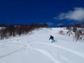 GWまで余裕で滑れる豪雪地帯！【上越・妙高エリアで春スキー】 アフタースキーは「夜空を淡いピンクに染める4000本の桜」【高田城址公園の日本三大夜桜】へ！ ＜新潟県上越市＞の画像003