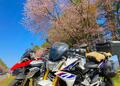 ゴールデンウィークに「2回目の桜」を味わえる！  バイクで行く北の大地「春の北海道」おすすめツーリングスポット3選の画像001