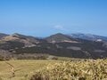絶景「富士山」の展望と「稜線パノラマ」が広がる春の高原ハイキング！  伊豆・仁科峠から後藤山と猫越峠「山行レポ」の画像001